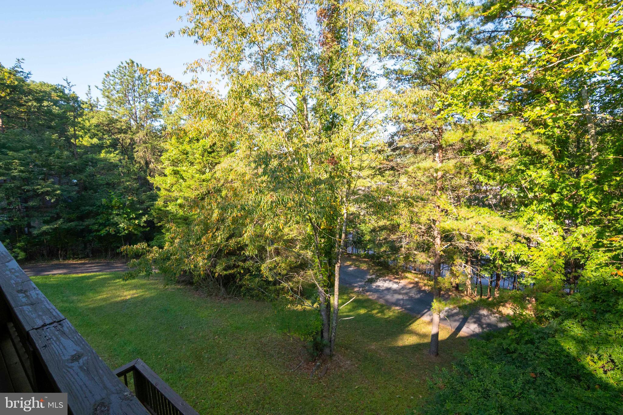 125 Fritzel Way Basye, VA 22842 - Photo 43 of 72