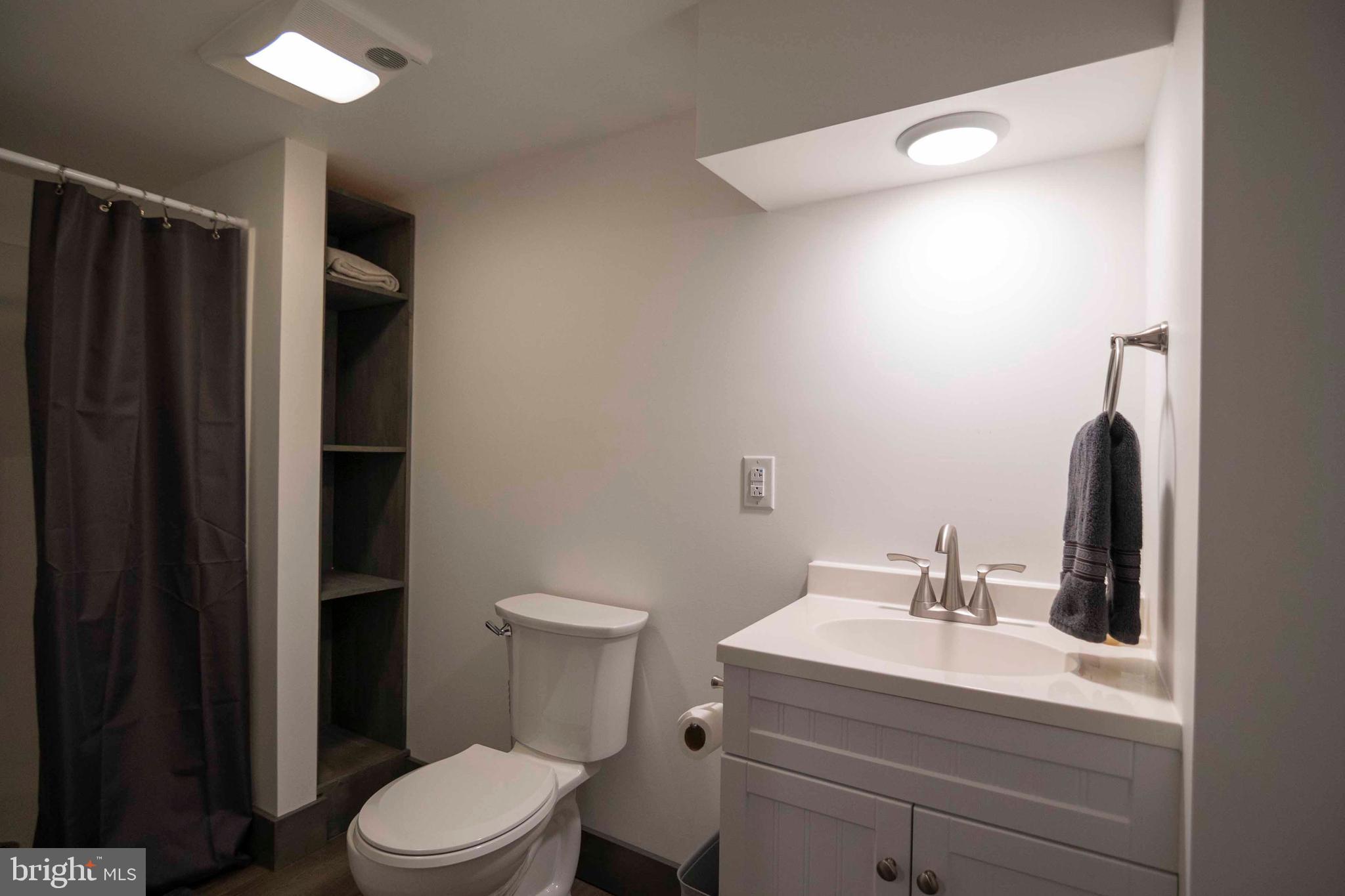 125 Fritzel Way Basye, VA 22842 - Photo 58 of 72 a bathroom with a sink a toilet a mirror and shower