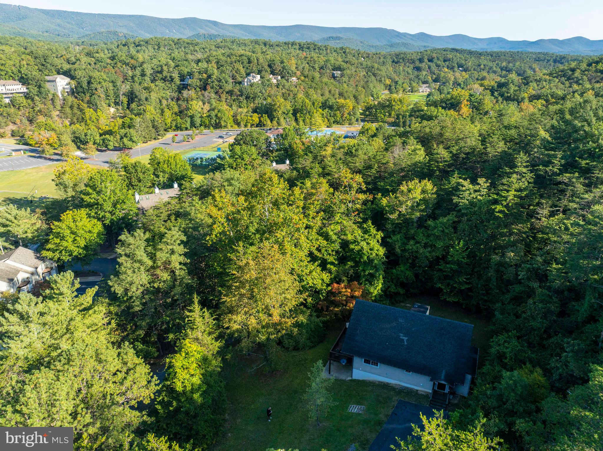 125 Fritzel Way Basye, VA 22842 - Photo 6 of 72 a view of a lush green forest with a house in the background