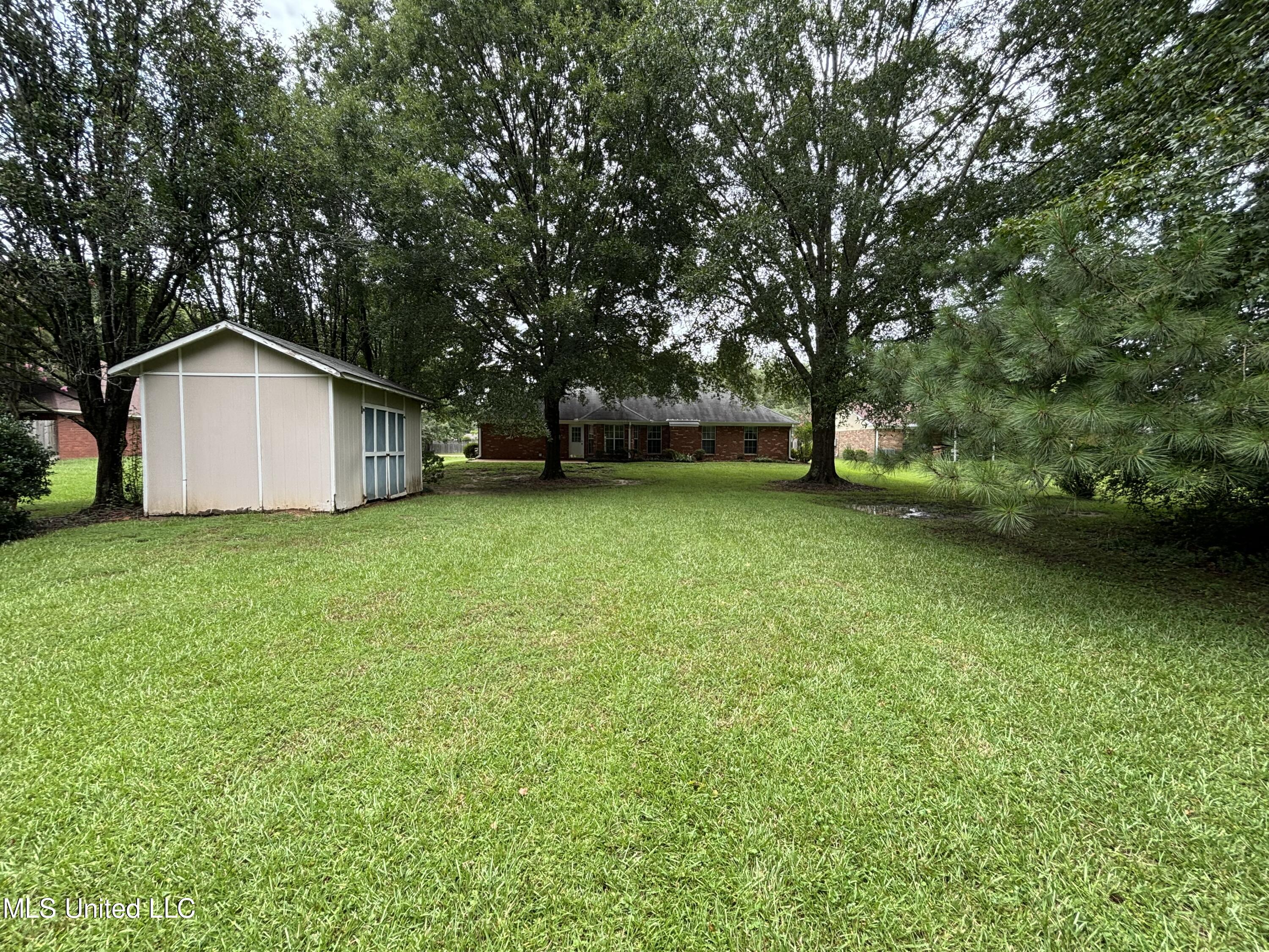 440 Golden Ridge Drive Brandon, MS 39042 - Photo 21 of 23 Golden Ridge 4
