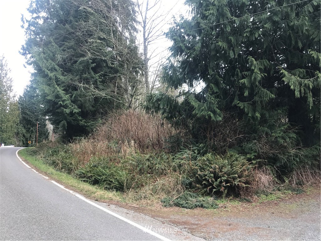 5 Freestad Road Arlington, WA 98223 - Photo 2 of 9 Gallery Image 2