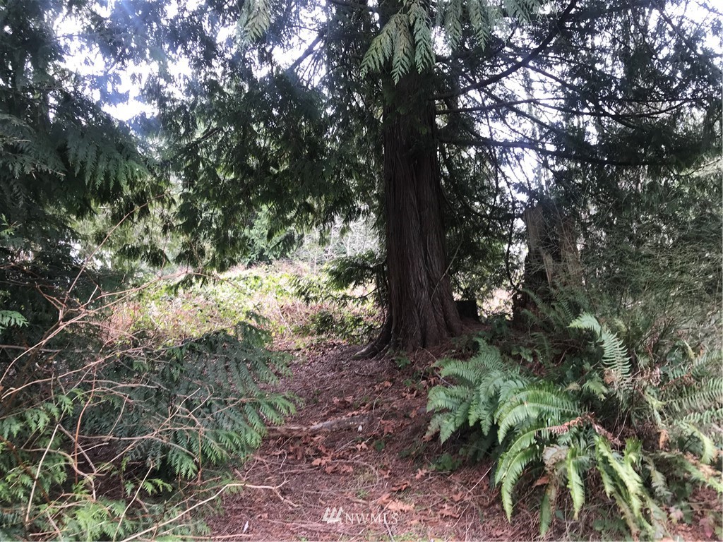 5 Freestad Road Arlington, WA 98223 - Photo 5 of 9 Gallery Image 5