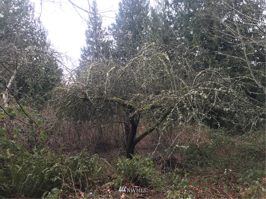 5 Freestad Road Arlington, WA 98223 - Photo 6 of 9 Gallery Image 6