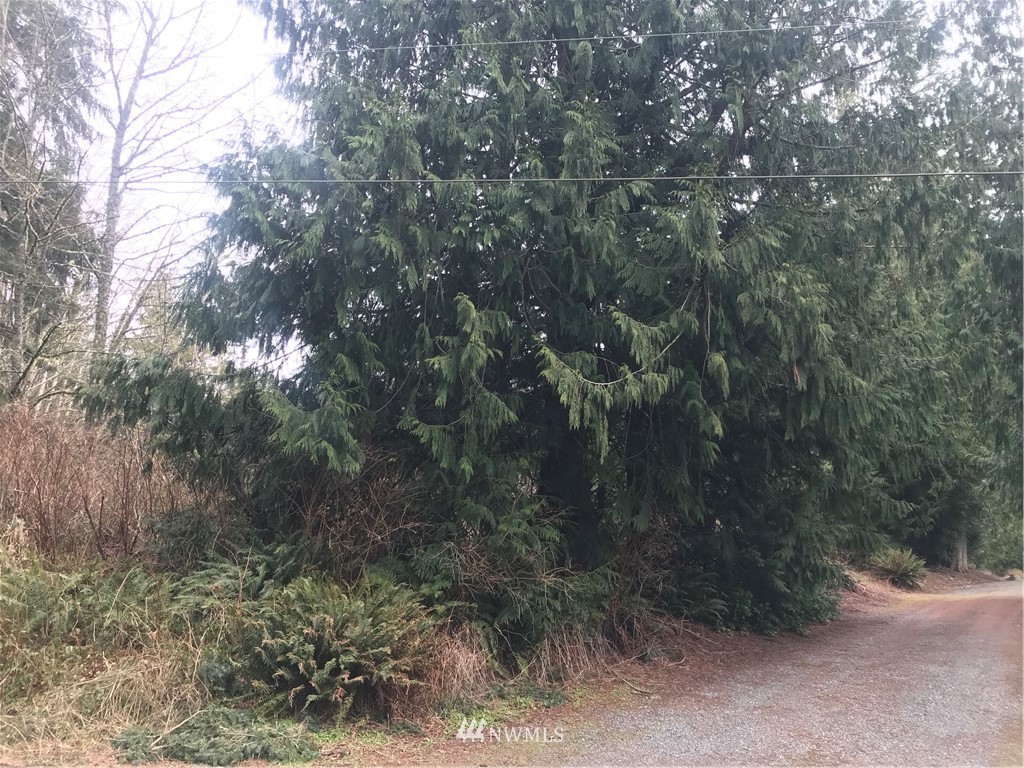 5 Freestad Road Arlington, WA 98223 - Photo 7 of 9 Gallery Image 7