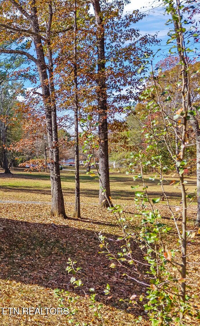 232 Sweeney Road Benton, TN 37307 - Photo 9 of 13 232 Sweeney Rd-17