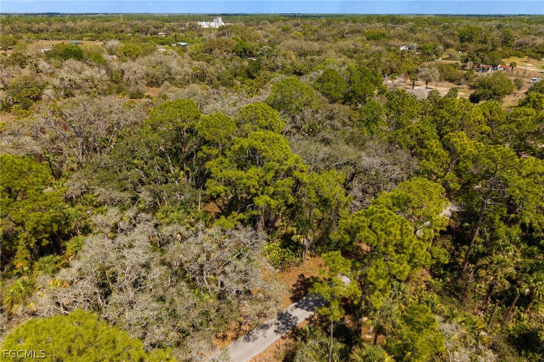 3751 Bateman Road Alva, FL 33920 - Photo 25 of 26 a view of a yard