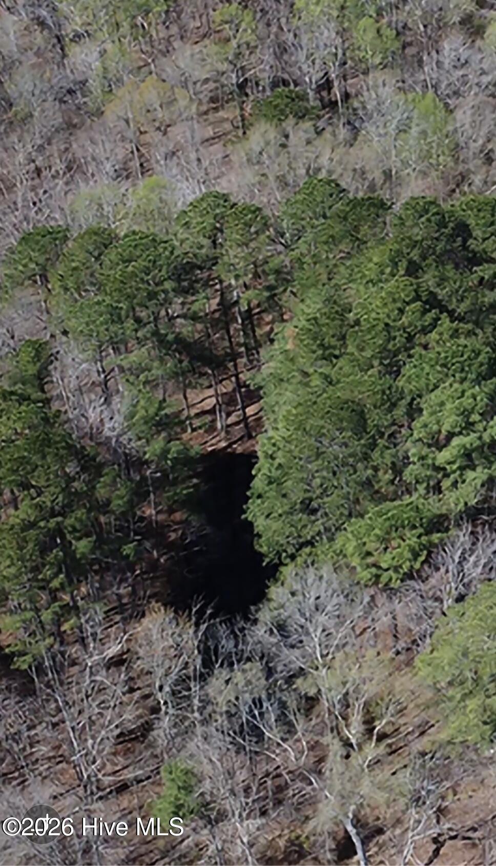 1731 Wollett Mill Road Battleboro, NC 27809 - Photo 18 of 51 1000078752