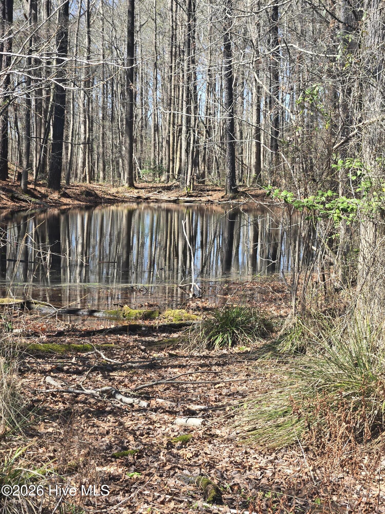 1731 Wollett Mill Road Battleboro, NC 27809 - Photo 5 of 51 1000078834