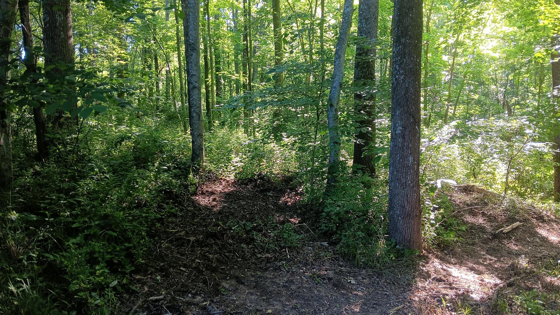 0 Sand Ridge Road, Unit ALBANY HIDEAWAY TRACT 2) Albany, OH 45710 - Photo 7 of 16