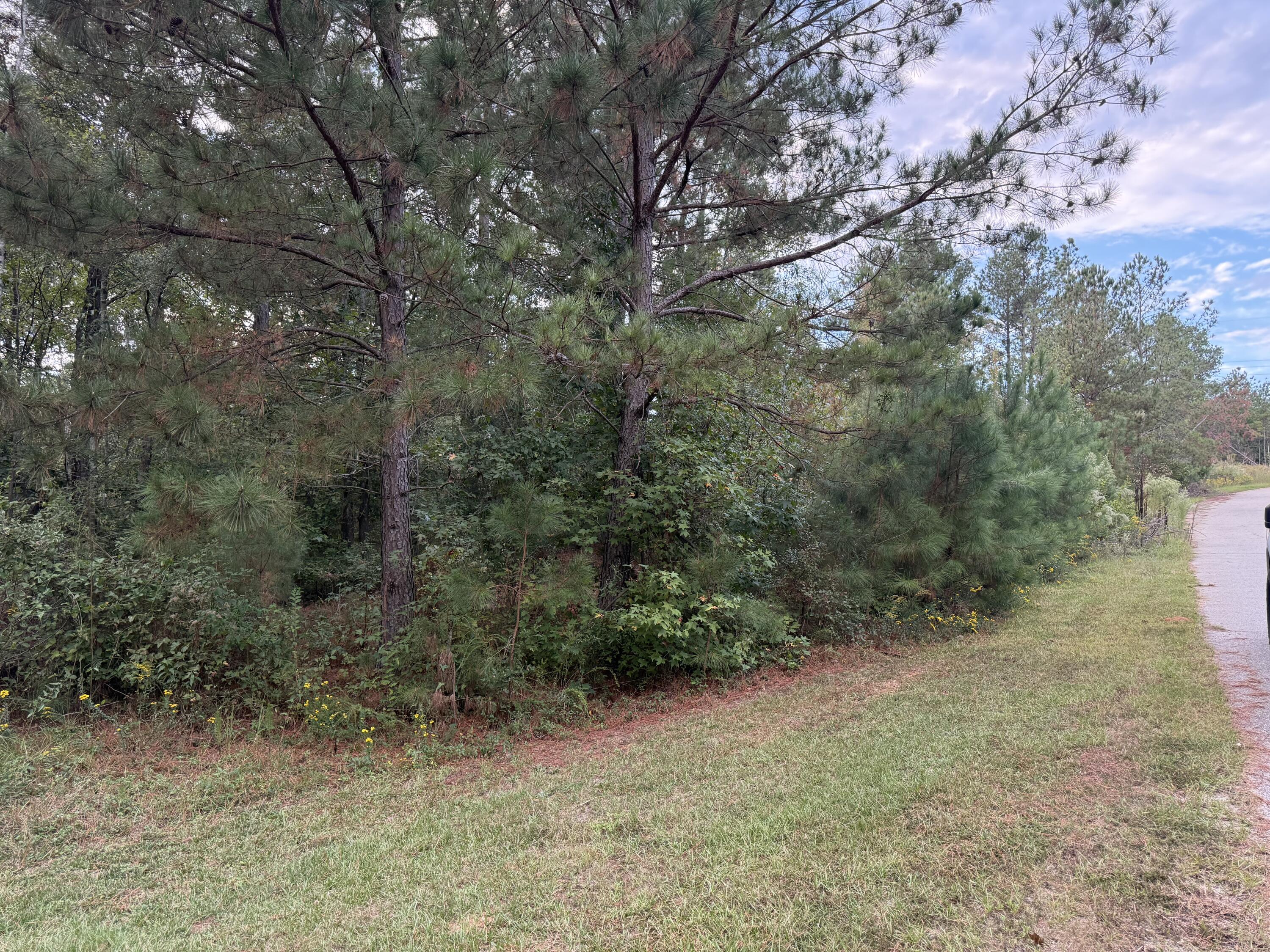 13 Pindo Pass North Augusta, SC 29860 - Photo 2 of 4 Lot 13 (2)