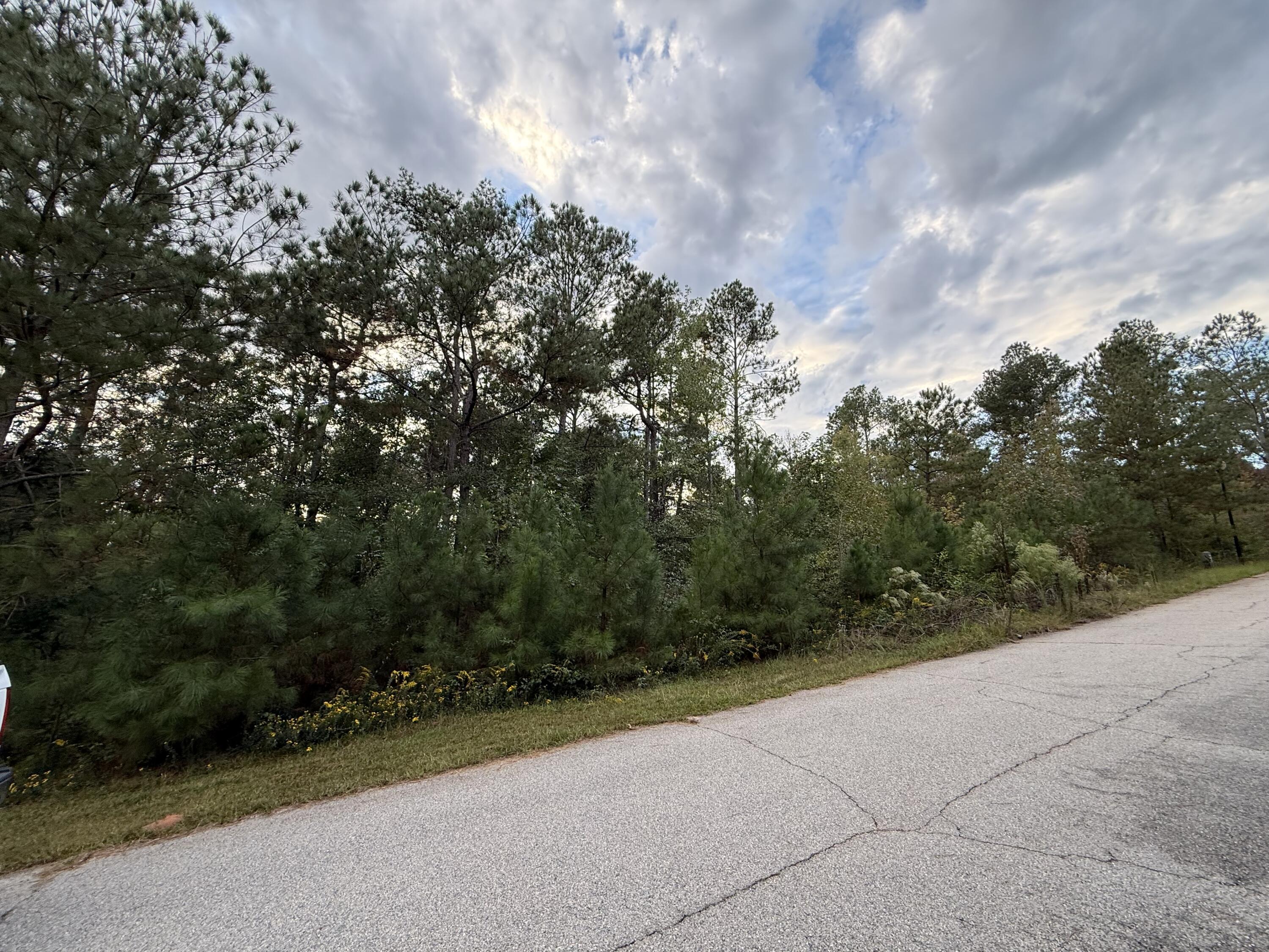 13 Pindo Pass North Augusta, SC 29860 - Photo 3 of 4 Lot 13