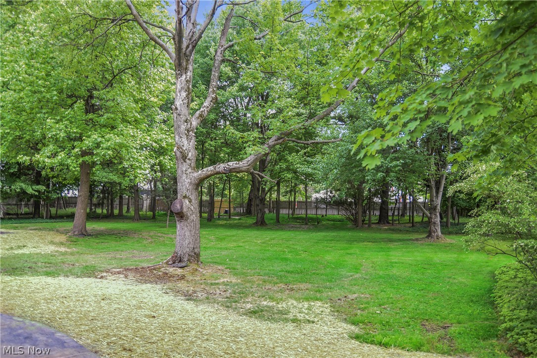 4891 Countryside Road Cleveland, OH 44124 - Photo 32 of 34 View of yard
