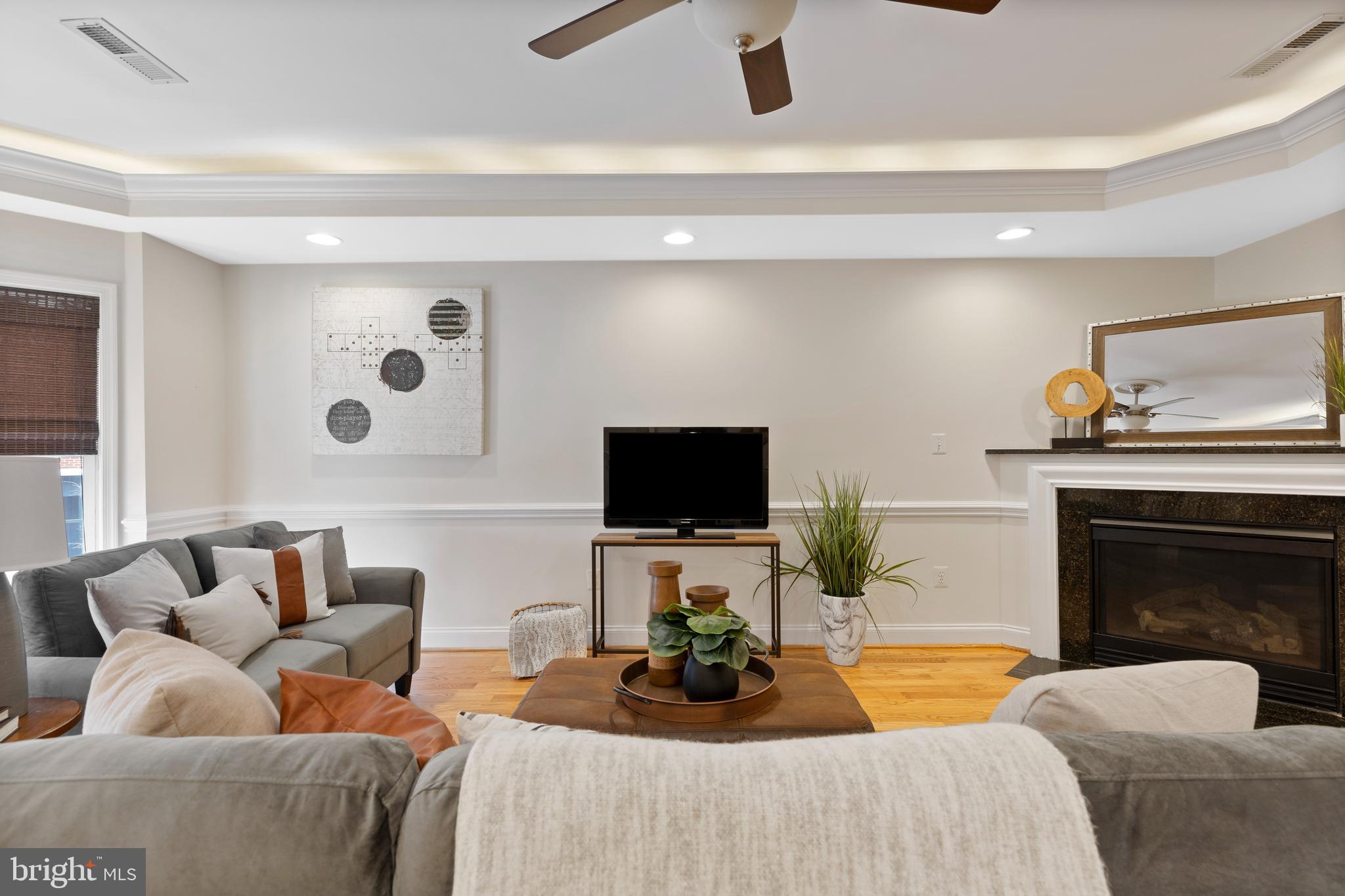 1125 Race Street Baltimore, MD 21230 - Photo 14 of 43 a living room with furniture a fireplace and a flat screen tv