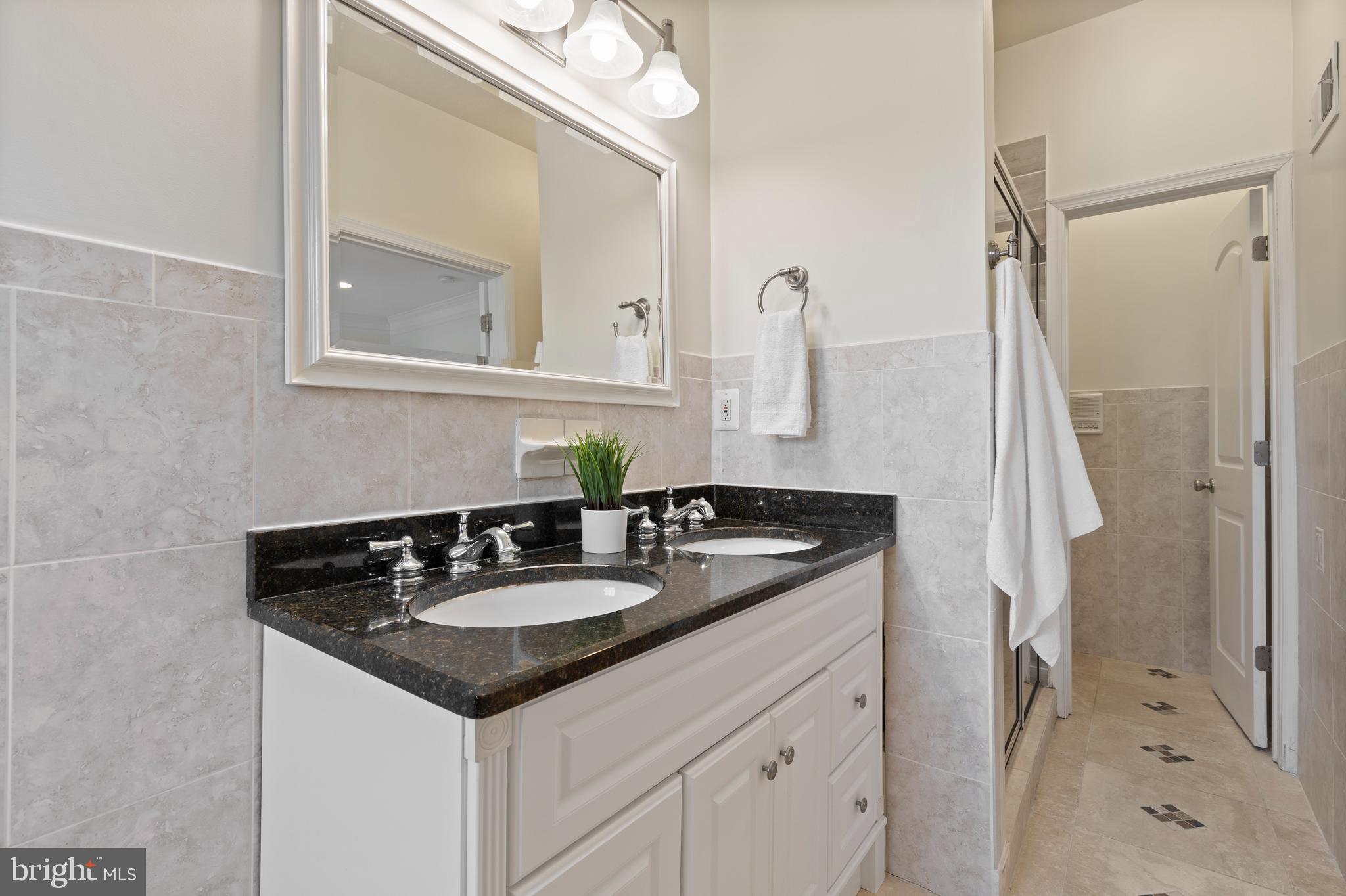 1125 Race Street Baltimore, MD 21230 - Photo 23 of 43 a bathroom with a sink and a mirror