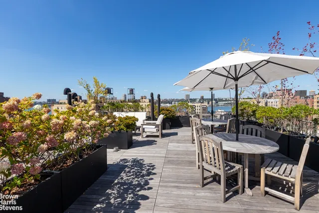 a view of a terrace with furniture and a potted plants
