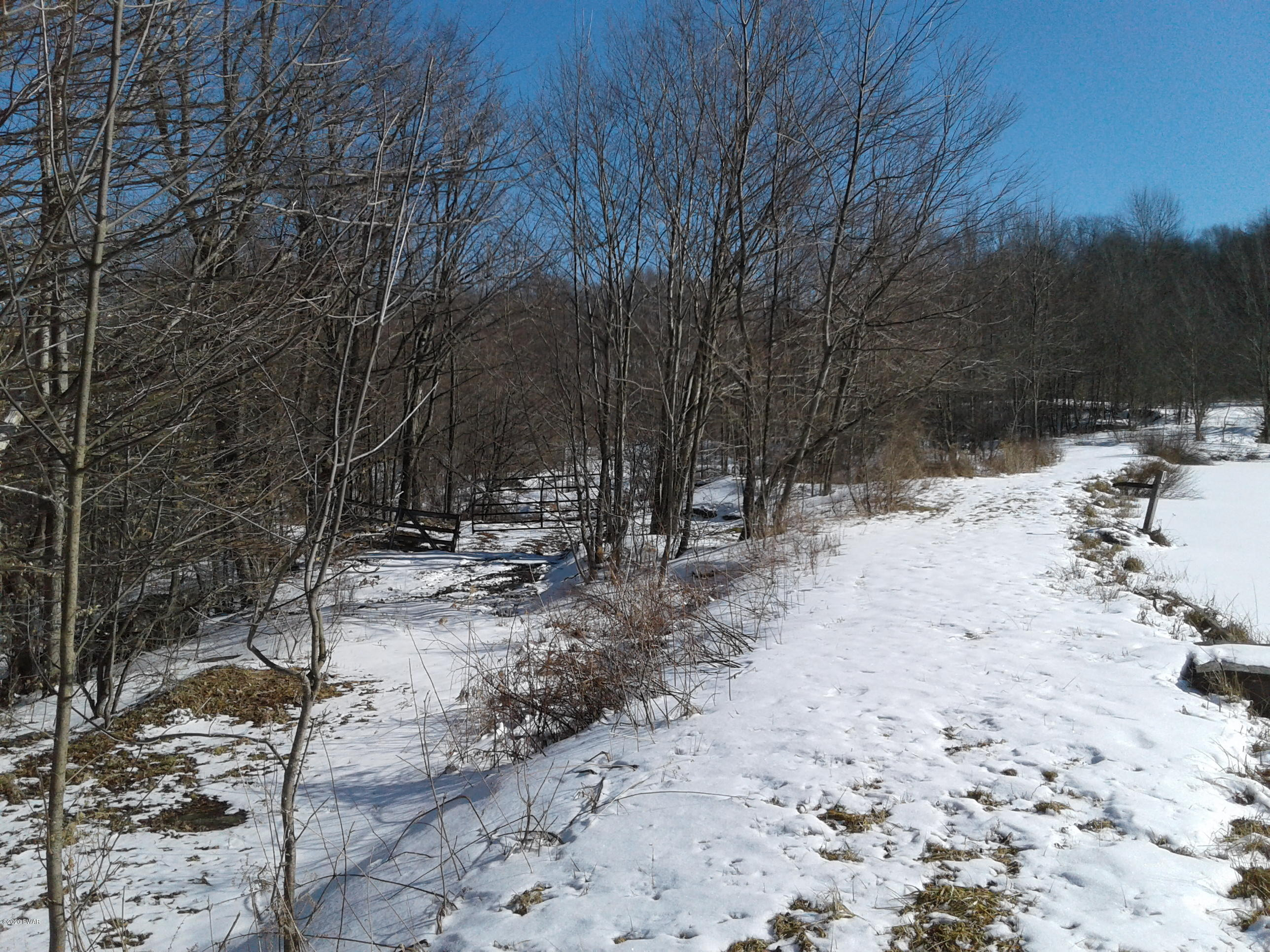 Hickory Hill Road Starrucca, PA 18462 - Photo 12 of 15
