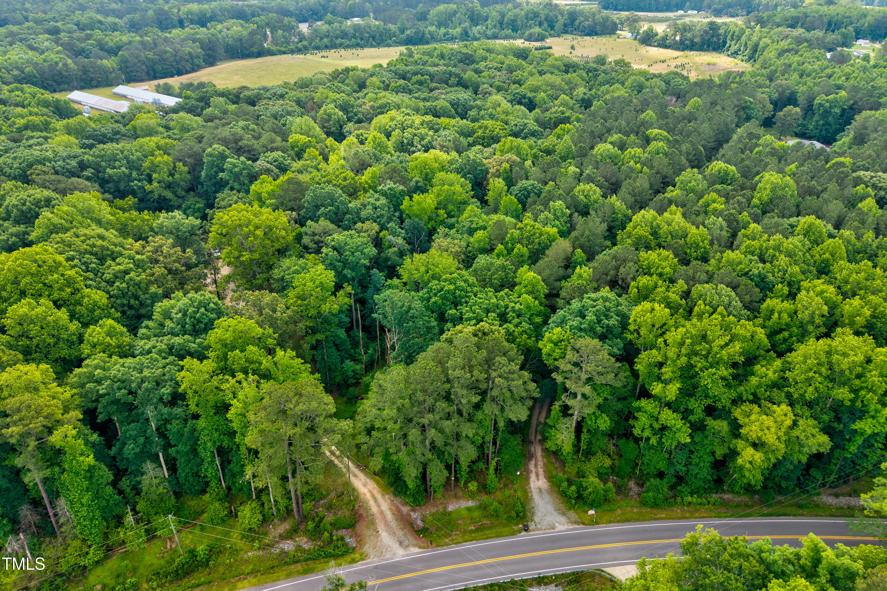 9212 Four Sisters Lane Willow Spring, NC 27592 - Photo 6 of 8 a view of a yard with plants
