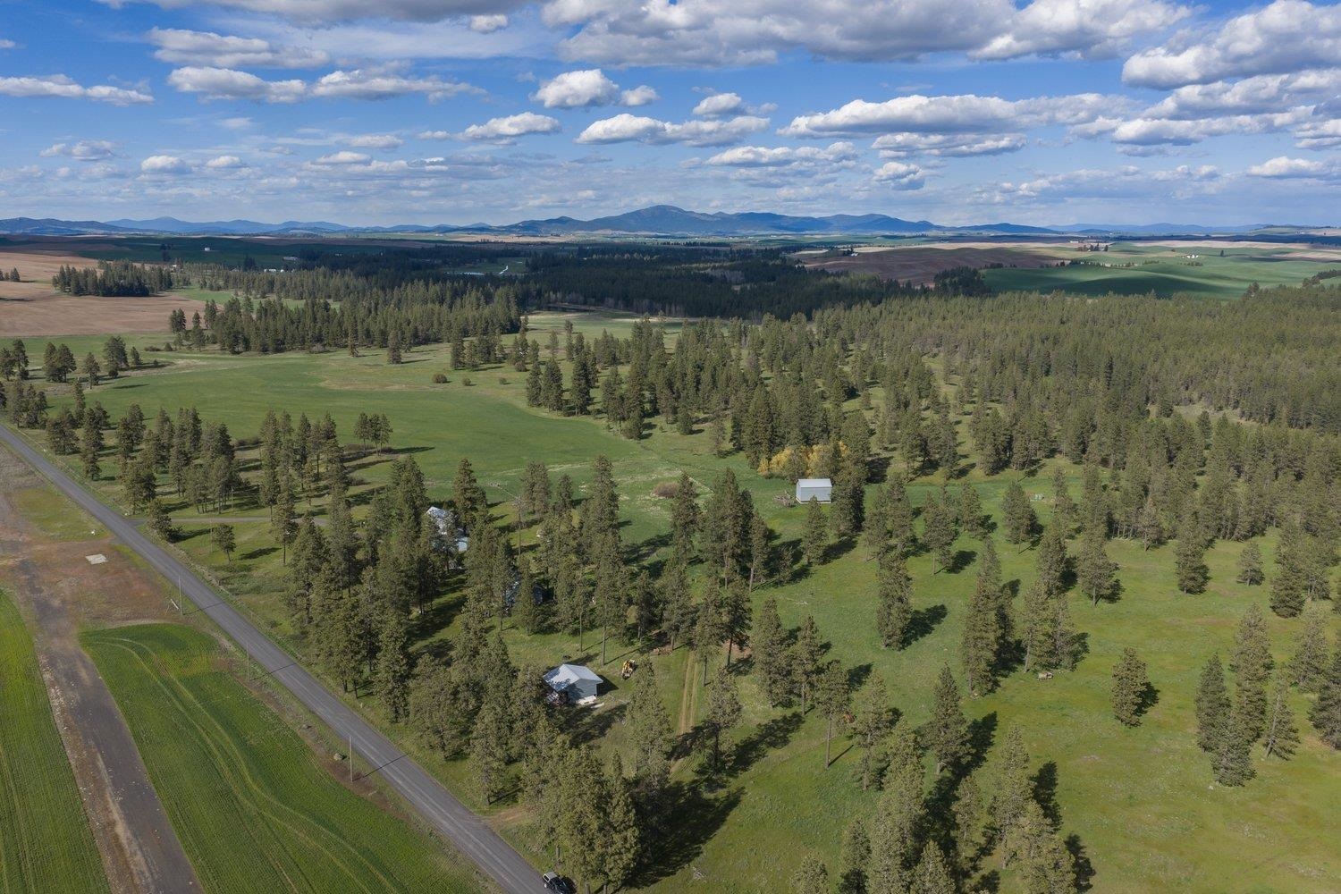 32312 South North Pine Creek Road Spangle, WA 99031 - Photo 11 of 34