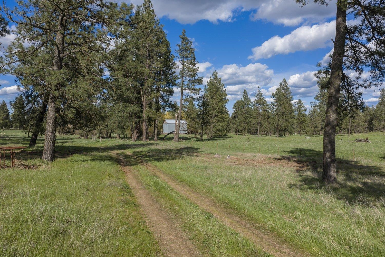 32312 South North Pine Creek Road Spangle, WA 99031 - Photo 12 of 34