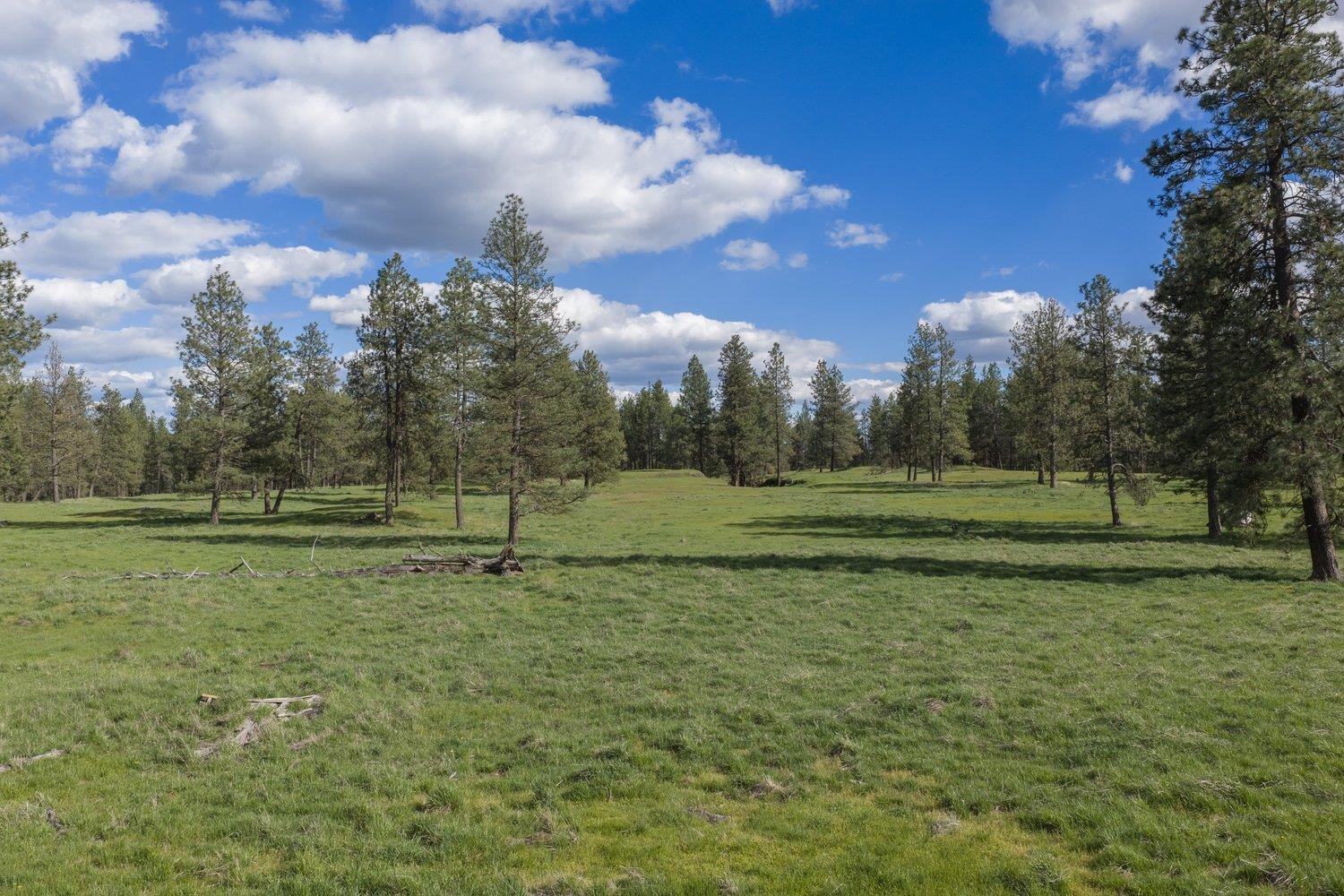 32312 South North Pine Creek Road Spangle, WA 99031 - Photo 14 of 34