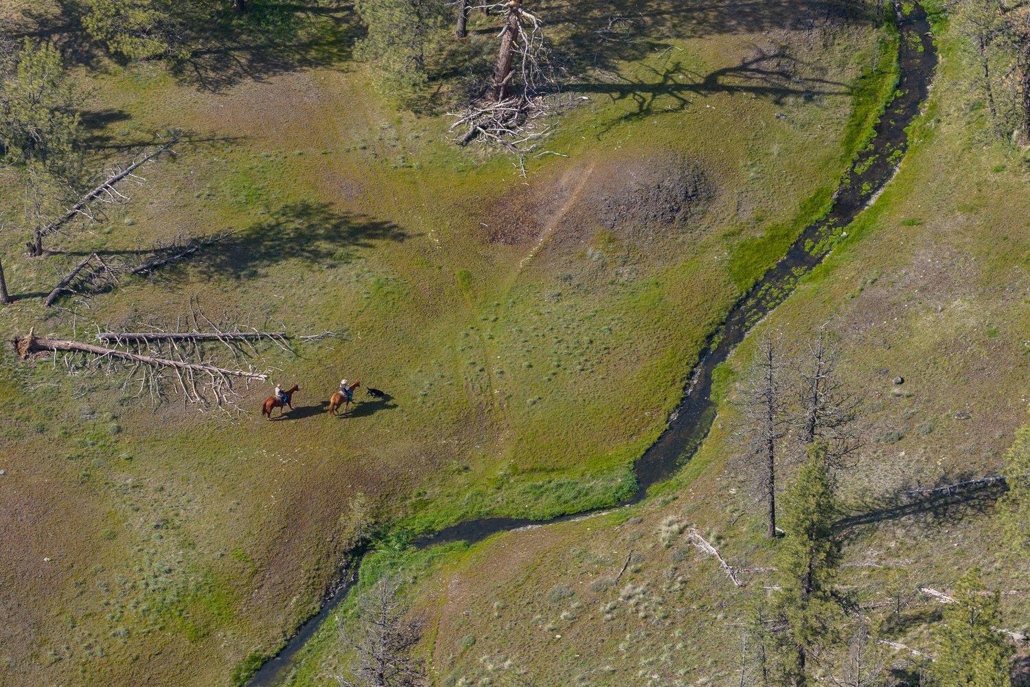 32312 South North Pine Creek Road Spangle, WA 99031 - Photo 18 of 34