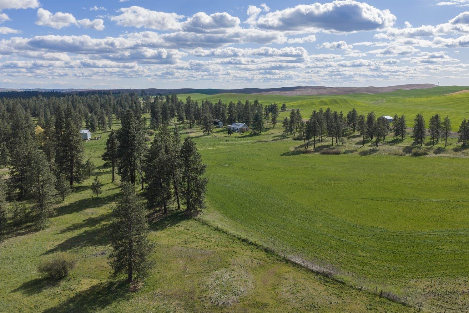 32312 South North Pine Creek Road Spangle, WA 99031 - Photo 24 of 34