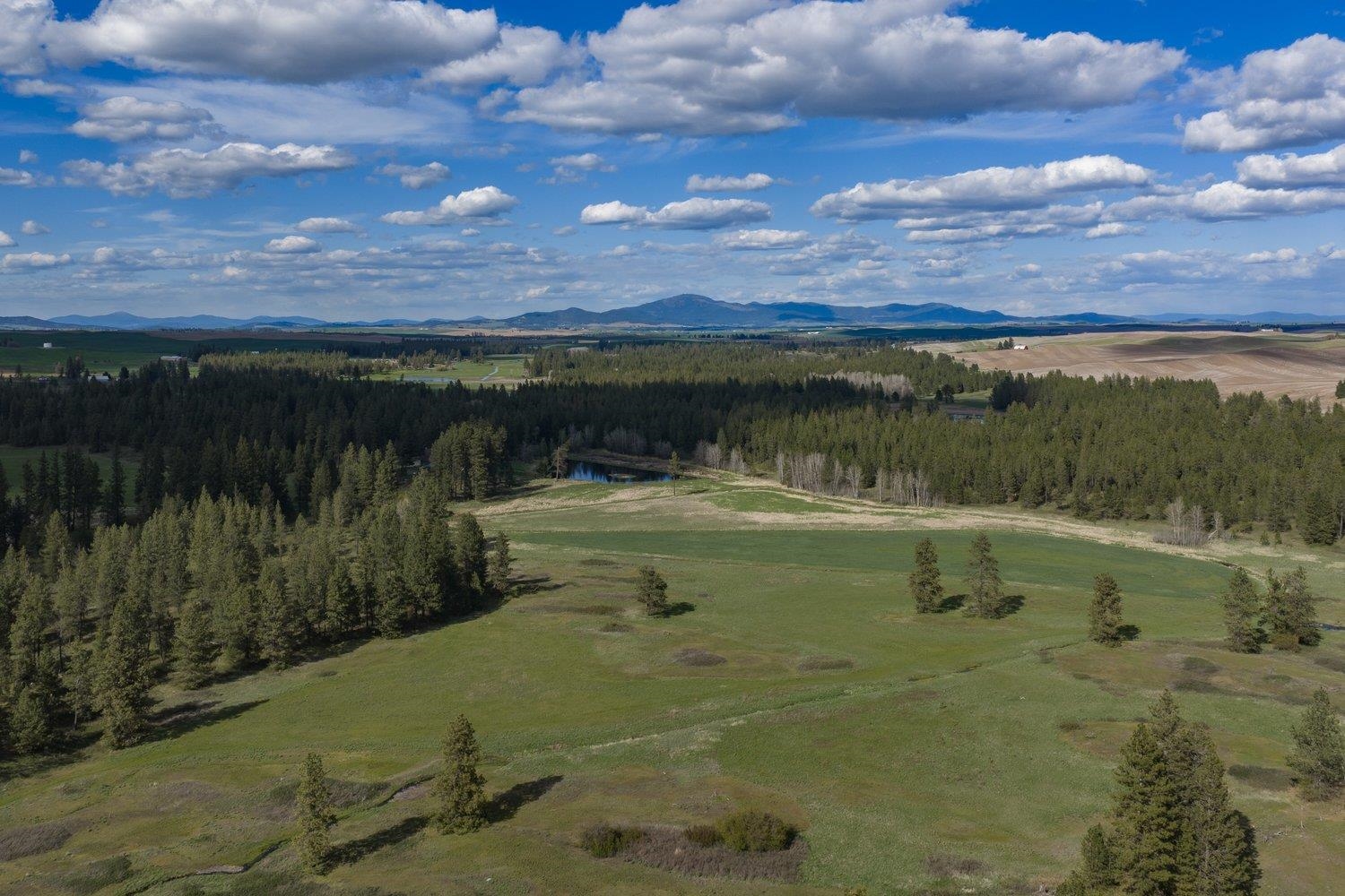 32312 South North Pine Creek Road Spangle, WA 99031 - Photo 26 of 34