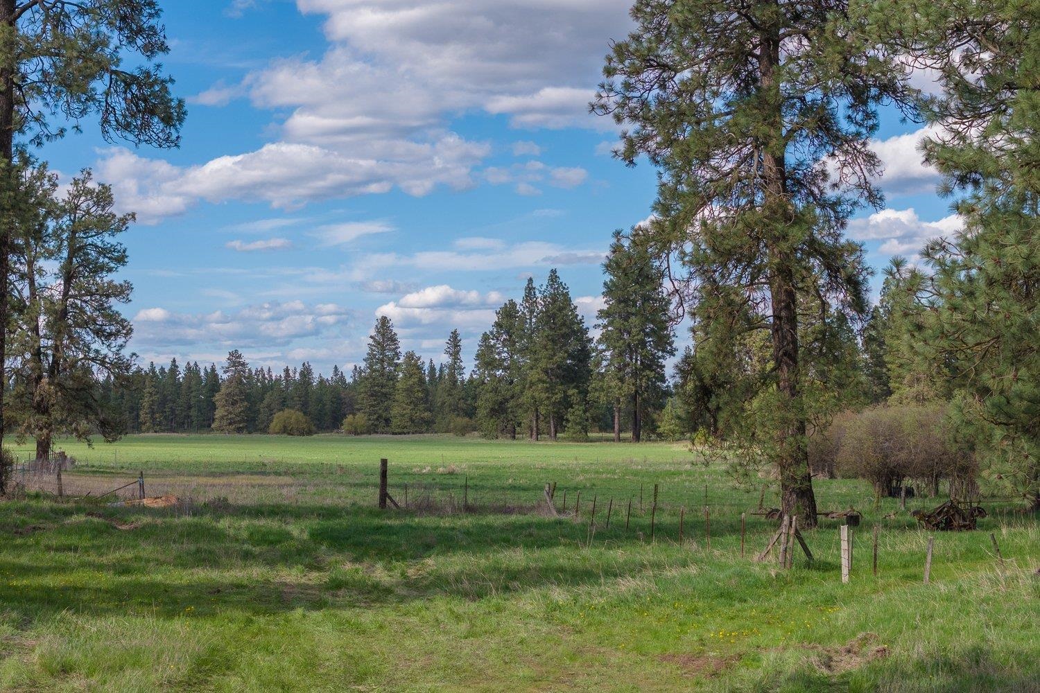 32312 South North Pine Creek Road Spangle, WA 99031 - Photo 33 of 34