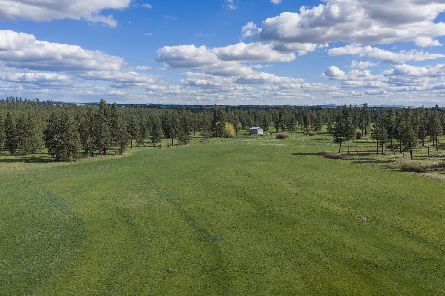 32312 South North Pine Creek Road Spangle, WA 99031 - Photo 4 of 34