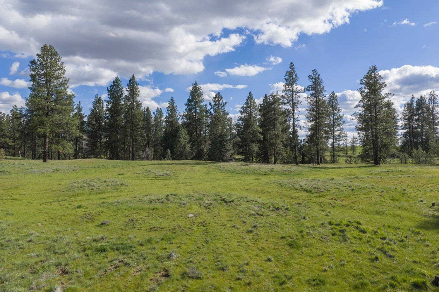 32312 South North Pine Creek Road Spangle, WA 99031 - Photo 5 of 34
