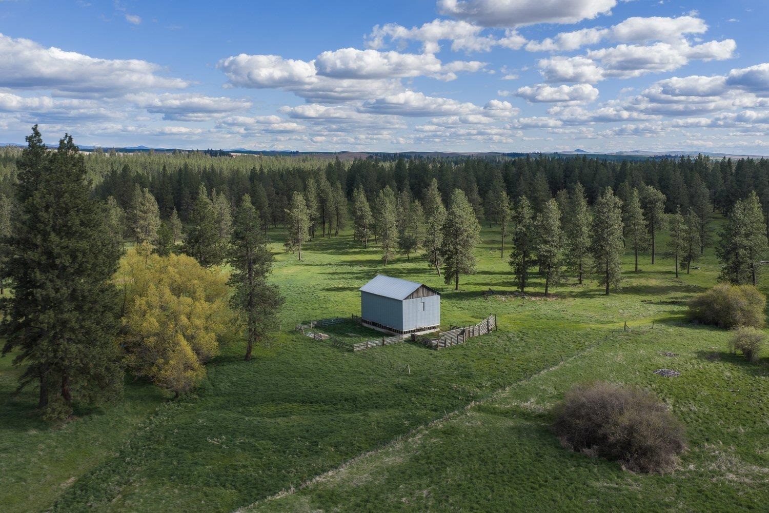 32312 South North Pine Creek Road Spangle, WA 99031 - Photo 9 of 34