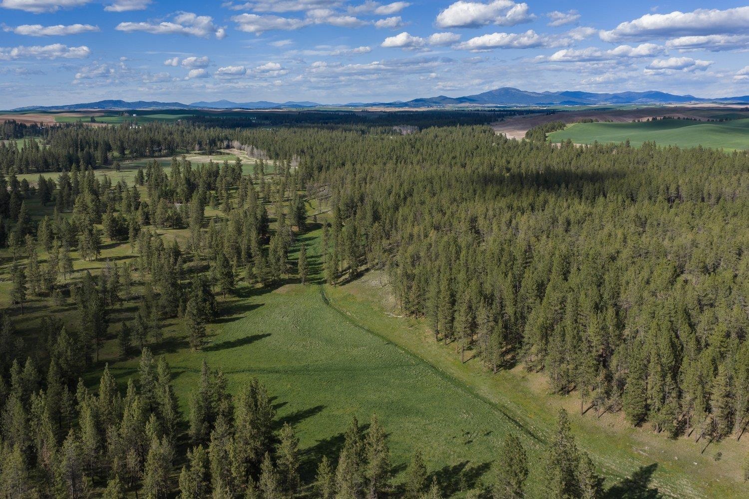 32312 South North Pine Creek Road Spangle, WA 99031 - Photo 10 of 34