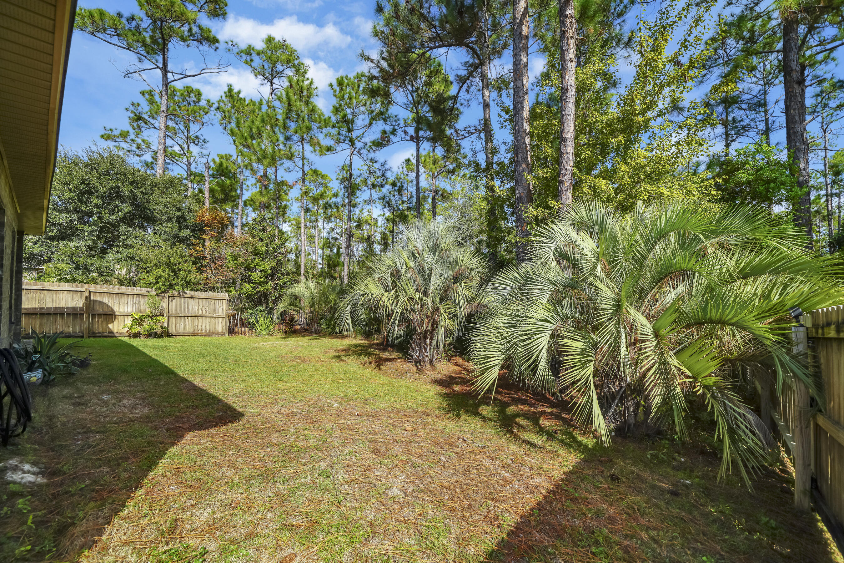 364 Cox Road Santa Rosa Beach, FL 32459 - Photo 33 of 36 Back Yard