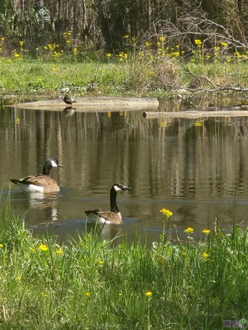 $302,910 | 33050 Nancy Drive, Walker, LA 70785