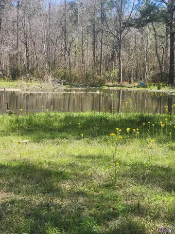 $302,910 | 33050 Nancy Drive, Walker, LA 70785