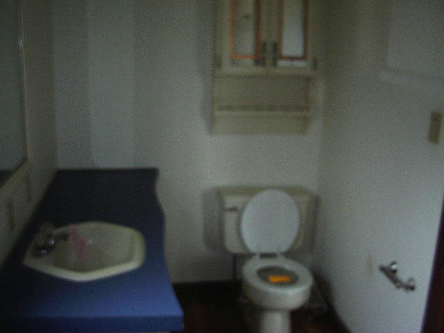4005 Horseshoe Bend Road Goodview, VA 24095 - Photo 7 of 13 Master Full Bath 2