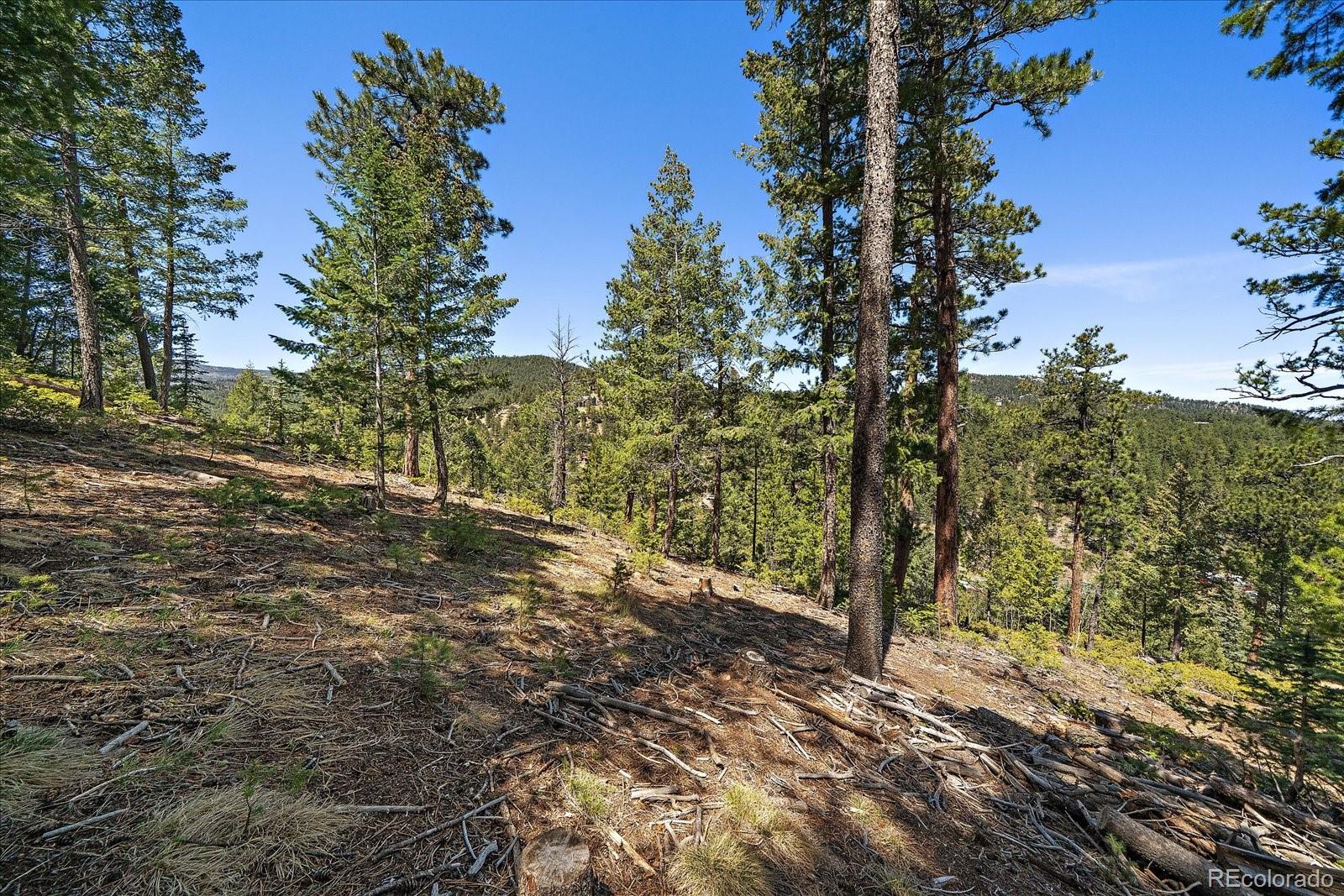 6855 Lynx Lair Road Evergreen, CO 80439 - Photo 15 of 21 a view of a yard with plants and trees