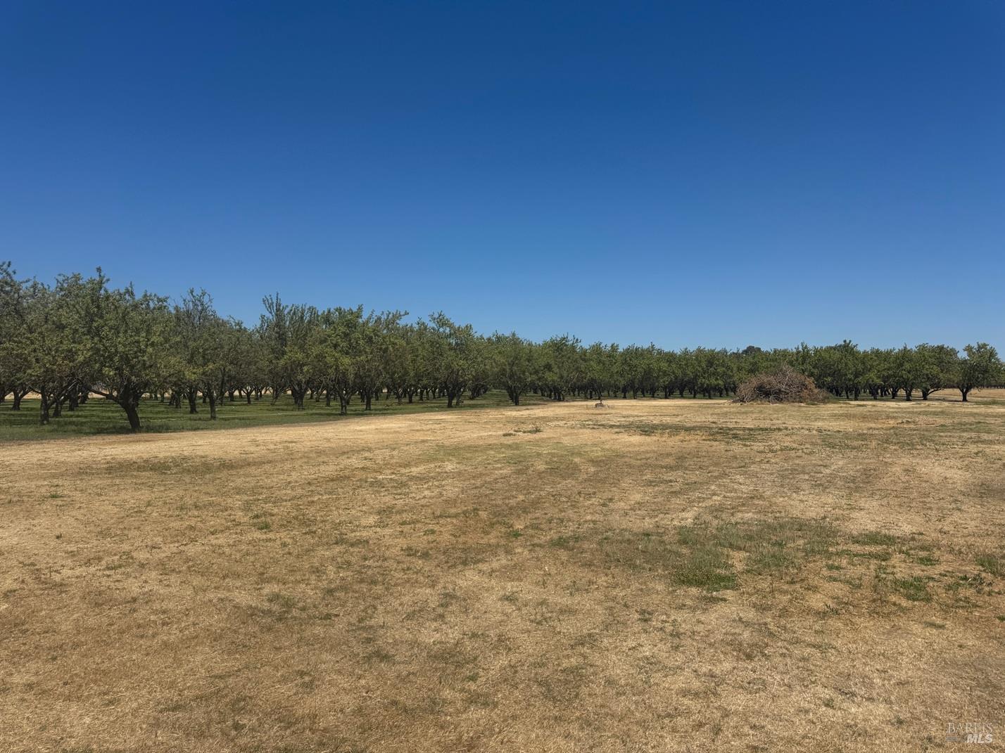7926 Schroeder Road Dixon, CA 95620 - Photo 1 of 1 Gallery Image 1