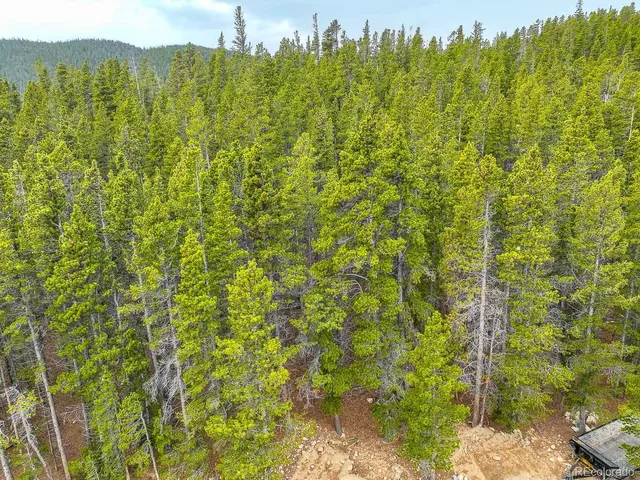 $49,900 | 123 Silver Creek Road, Idaho Springs, CO 80452