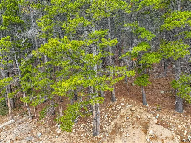 $49,900 | 123 Silver Creek Road, Idaho Springs, CO 80452