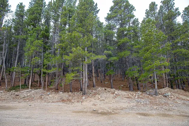 $49,900 | 123 Silver Creek Road, Idaho Springs, CO 80452
