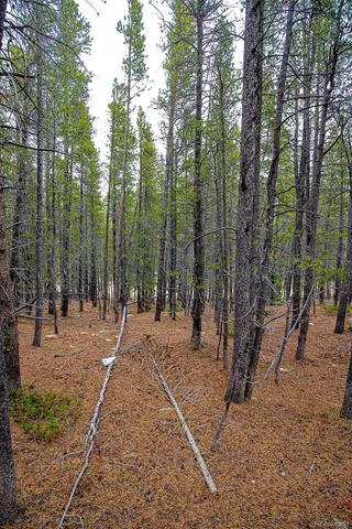 $49,900 | 123 Silver Creek Road, Idaho Springs, CO 80452