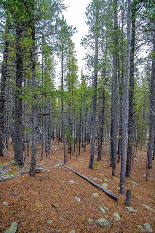 $49,900 | 123 Silver Creek Road, Idaho Springs, CO 80452