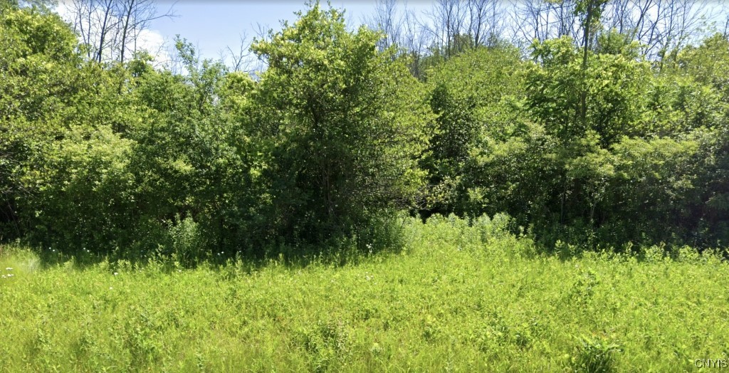 120 Percy Road Riga, NY 14428 - Photo 3 of 20