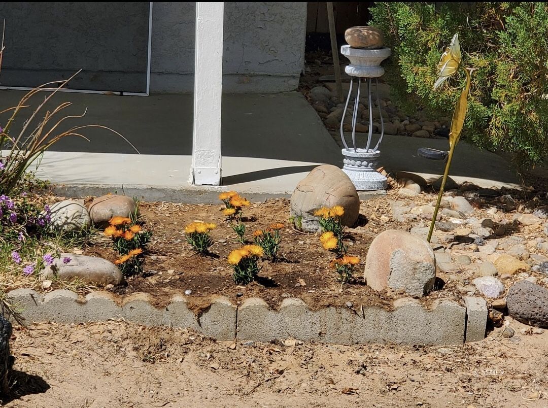 6228 Ridgecrest Boulevard Inyokern, CA 93527 - Photo 6 of 34 a vase of flowers sitting on a floor