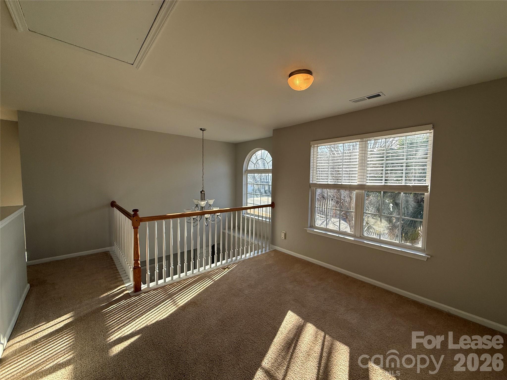 203 Almora Loop Mooresville, NC 28115 - Photo 20 of 37