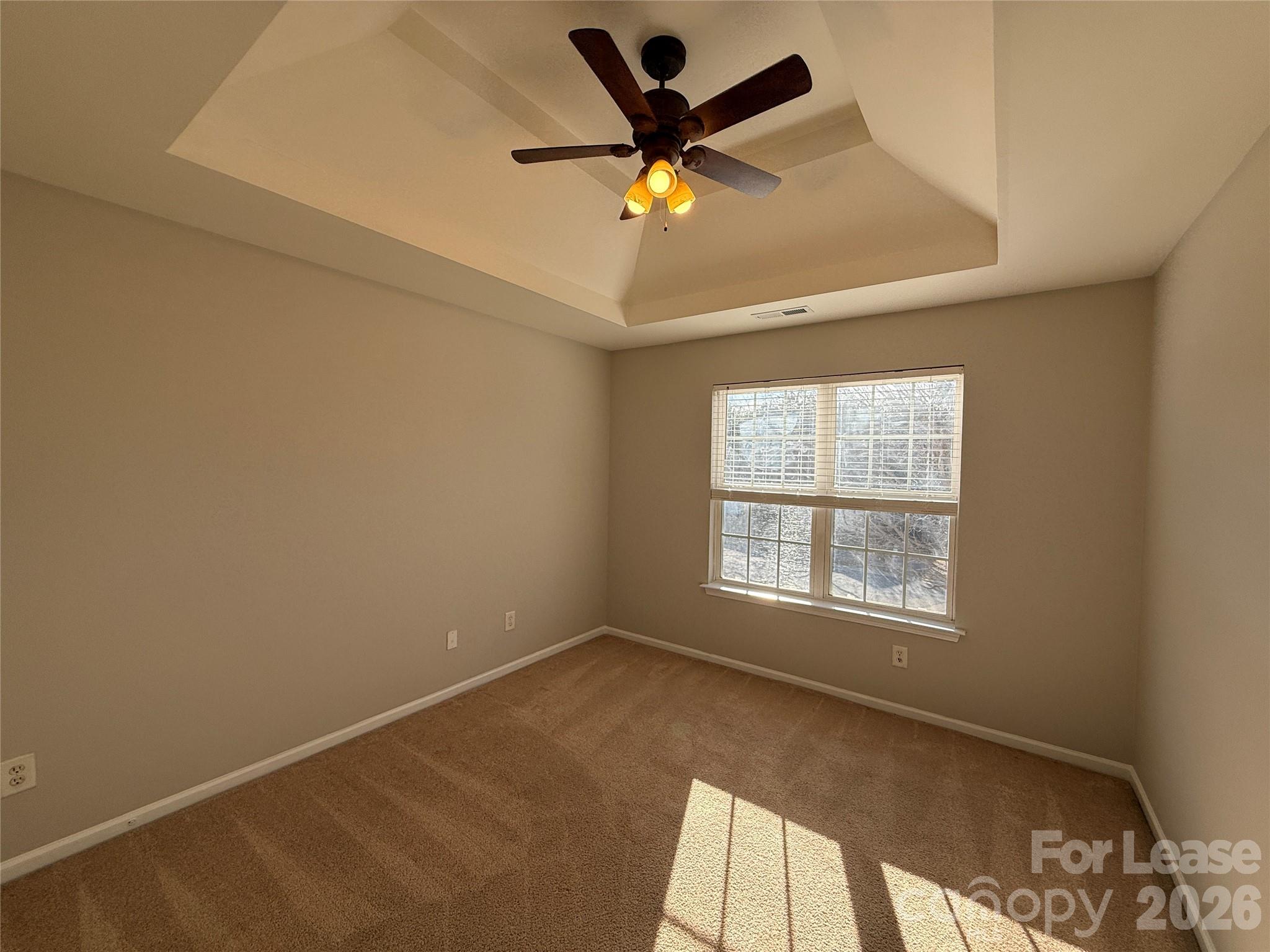 203 Almora Loop Mooresville, NC 28115 - Photo 33 of 37