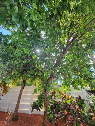 a front view of a house with a garden and plants