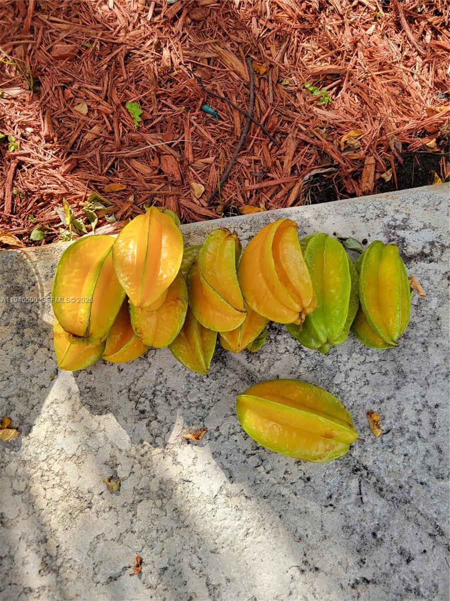 4710 Grant Street Hollywood, FL 33021 - Photo 44 of 56 a view of a swimming pool