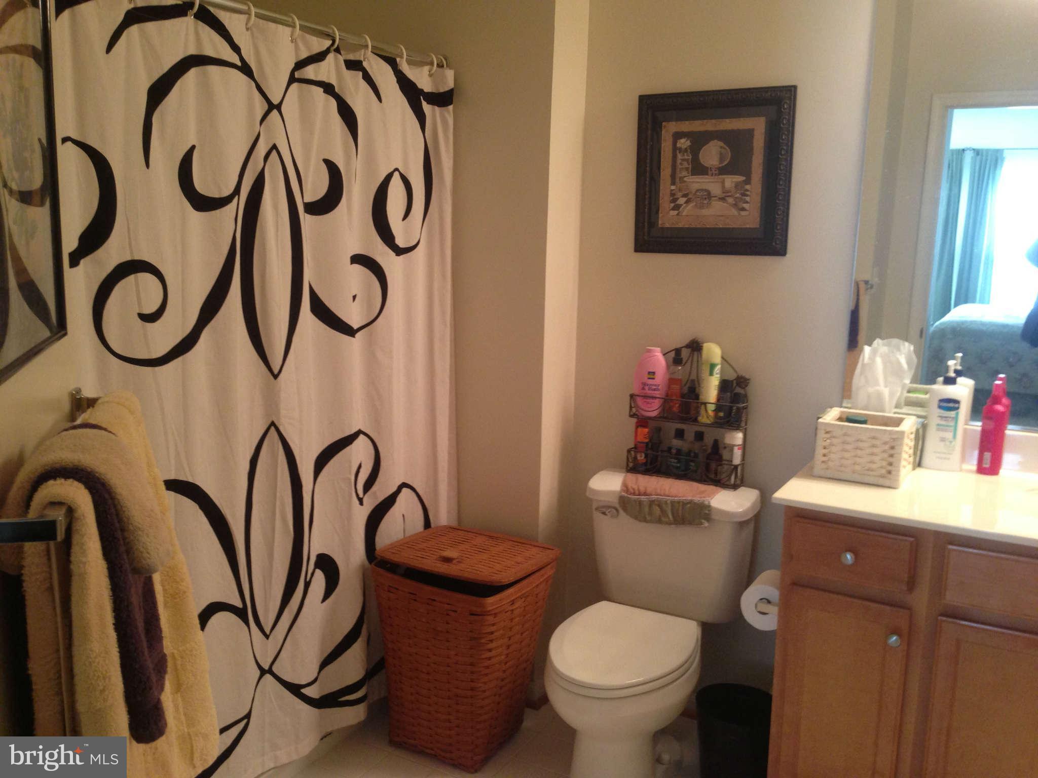 1519 North Point Drive, Unit 203 Reston, VA 20194 - Photo 14 of 18 Bath (Master)